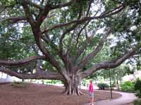 El Angel Park