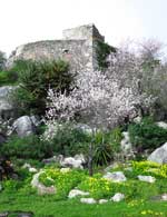 Castle grounds Castle Grounds